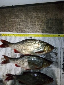 IMG_20190113_223824.jpg