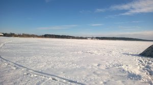 WP_20190115_012.jpg