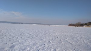 IMG_20190116_132421.jpg