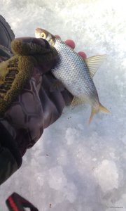 IMG_20190117_104525.jpg