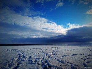 IMG_20190119_200603.jpg