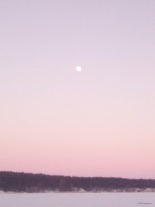 IMG_20190119_160948.jpg