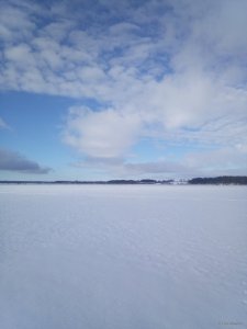IMG_20190119_131717.jpg