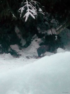 IMG_20190120_160435.jpg