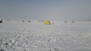 20190120_095108.jpg