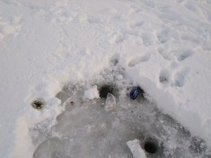 IMG_20190120_150946.jpg