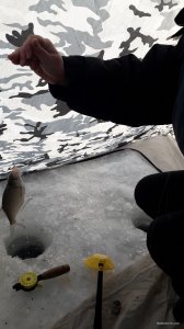 20190120_104844.jpg