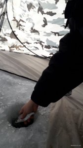 20190120_113338.jpg