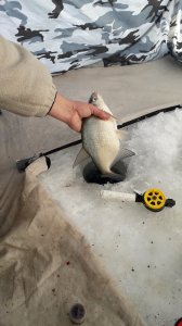 20190120_100410.jpg