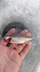 20190120_134006.jpg
