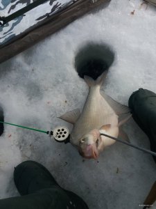 20190120_115742.jpg