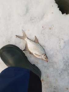 20190120_093038.jpg