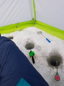 20190120_092406.jpg