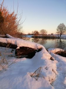IMG_20190119_155710.jpg