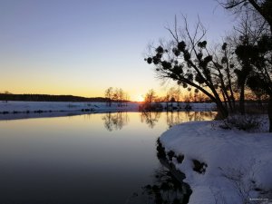 IMG_20190119_155718.jpg