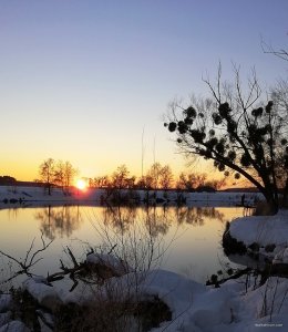 IMG_20190119_160009.jpg