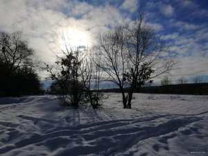 IMG_20190119_131000.jpg