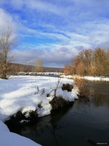 IMG_20190119_131959.jpg
