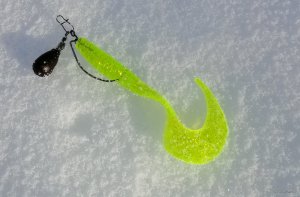 IMG_20190119_132205.jpg