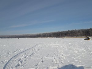 20190120_121856.jpg