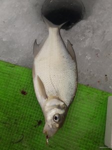 20190120_091909.jpg