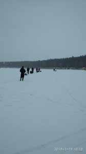 IMG_20190119_121050.jpg