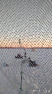IMG_20190119_155241.jpg