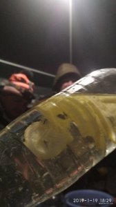 IMG_20190119_182910.jpg
