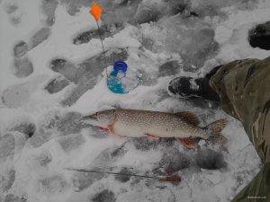 IMG_20161215_092620.jpg