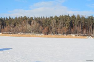 IMG_1875.JPG
