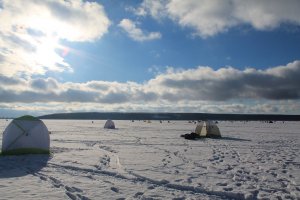 IMG_1876.JPG