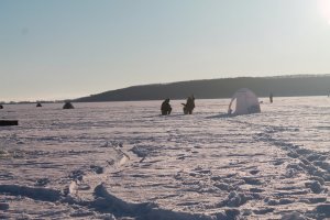IMG_1894.JPG