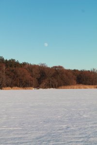 IMG_1896.JPG