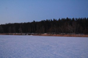 IMG_1918.JPG