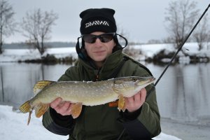 DSC_0922.JPG