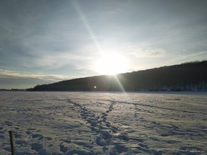IMG_20190125_151141.jpg