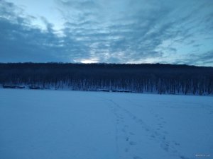 IMG_20190125_162622.jpg
