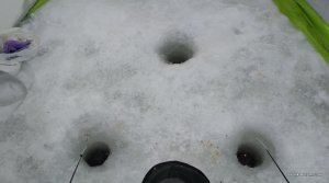 IMG_20190126_093111.jpg