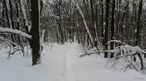 20190126_105357.jpg