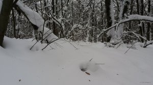 20190126_105411.jpg