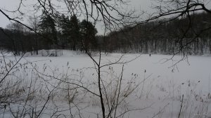 20190126_110718.jpg