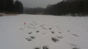 20190127_133425.jpg