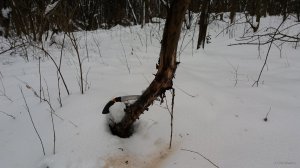 20190127_115639.jpg
