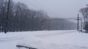20190127_150314.jpg