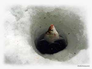 IMG_2392.JPG