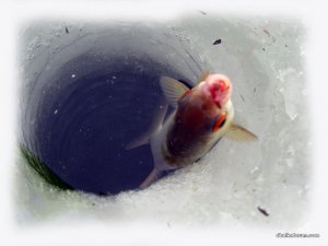 IMG_2402.JPG