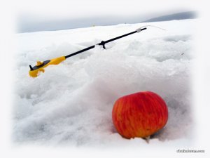 IMG_2431.JPG