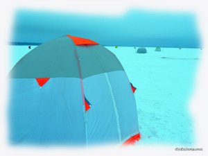 IMG_2433.JPG