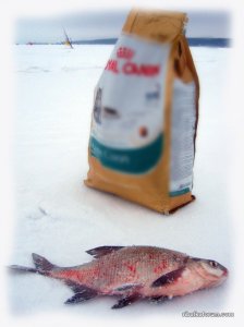 IMG_2443__.jpg