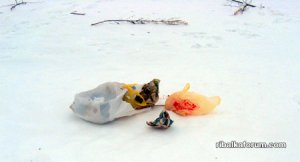 IMG_2437.JPG